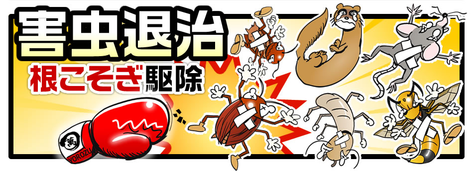 害虫退治　根こそぎ駆除